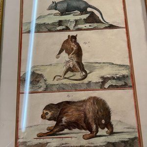 18th Century, Paris, Vintage hand colored prints